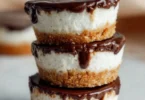 Mini cheesecake al cocco e cioccolato, dolce delizioso e cremoso.