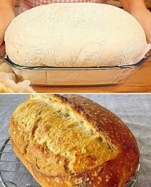 Pane rustico fatto in casa secondo la ricetta tradizionale della nonna.